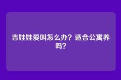 吉娃娃爱叫怎么办？适合公寓养吗？