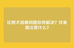 比熊犬泪痕问题如何解决？饮食需注意什么？