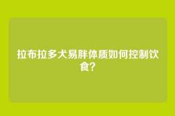 拉布拉多犬易胖体质如何控制饮食？