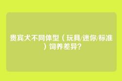 贵宾犬不同体型（玩具/迷你/标准）饲养差异？
