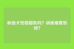 秋田犬性格固执吗？训练难度如何？