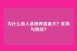 为什么有人选择养混血犬？优势与挑战？
