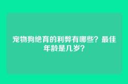 宠物狗绝育的利弊有哪些？最佳年龄是几岁？