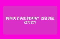 狗狗关节炎如何预防？适合的运动方式？