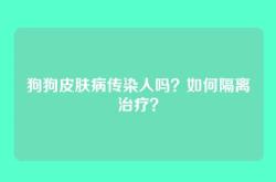 狗狗皮肤病传染人吗？如何隔离治疗？