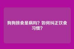 狗狗挑食是病吗？如何纠正饮食习惯？