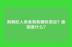 狗狗吃人类食物有哪些禁忌？原因是什么？