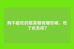 狗不能吃的蔬菜都有哪些呢，吃了会怎样？