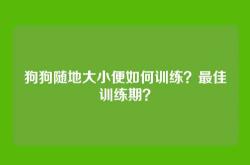 狗狗随地大小便如何训练？最佳训练期？