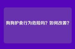 狗狗护食行为危险吗？如何改善？