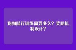 狗狗随行训练需要多久？奖励机制设计？