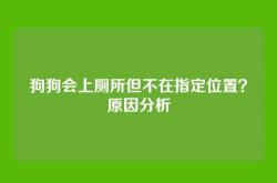 狗狗会上厕所但不在指定位置？原因分析