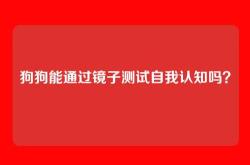 狗狗能通过镜子测试自我认知吗？