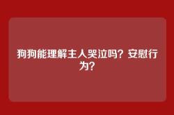 狗狗能理解主人哭泣吗？安慰行为？