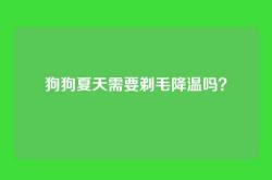 狗狗夏天需要剃毛降温吗？