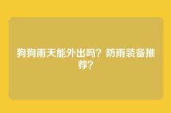 狗狗雨天能外出吗？防雨装备推荐？
