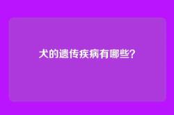 犬的遗传疾病有哪些？