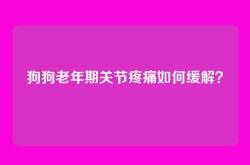 狗狗老年期关节疼痛如何缓解？