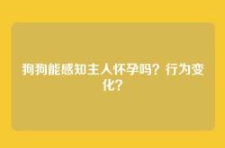 狗狗能感知主人怀孕吗？行为变化？