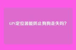GPS定位器能防止狗狗走失吗？