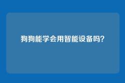 狗狗能学会用智能设备吗？