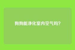 狗狗能净化室内空气吗？
