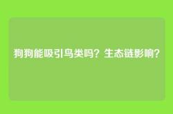 狗狗能吸引鸟类吗？生态链影响？