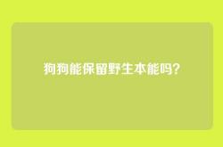 狗狗能保留野生本能吗？