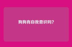 狗狗有自我意识吗？