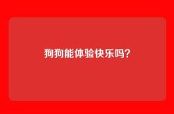 狗狗能体验快乐吗？