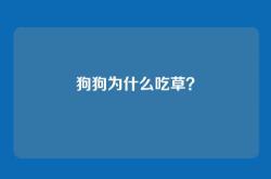 狗狗为什么吃草？