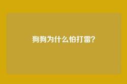 狗狗为什么怕打雷？