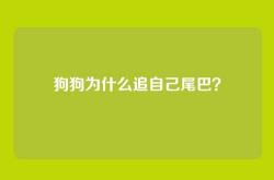 狗狗为什么追自己尾巴？
