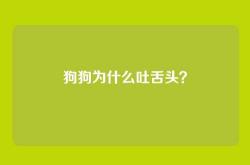 狗狗为什么吐舌头？
