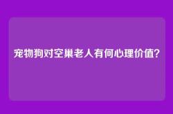 宠物狗对空巢老人有何心理价值？