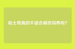 哈士奇真的不适合城市饲养吗？