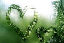 天蝎是什么动物