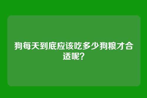 狗每天到底应该吃多少狗粮才合适呢?