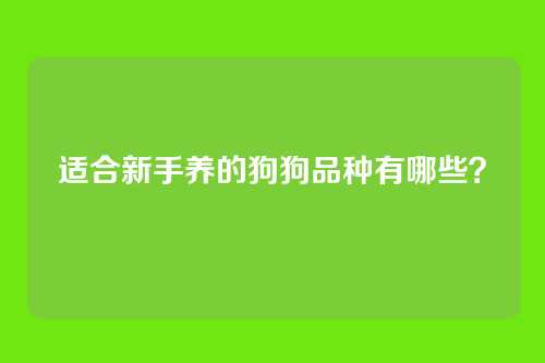 适合新手养的狗狗品种有哪些?