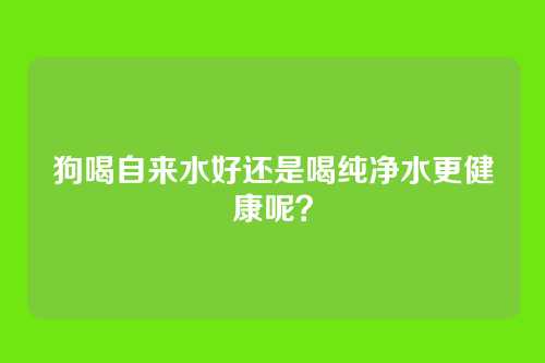 狗喝自来水好还是喝纯净水更健康呢?