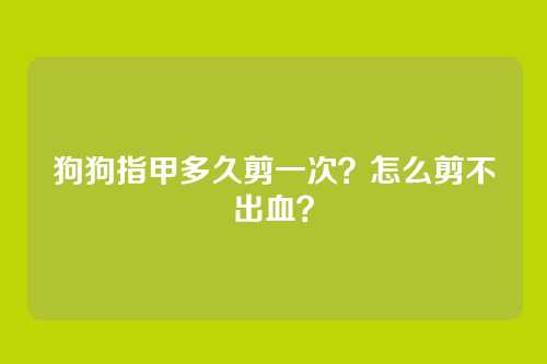 狗狗指甲多久剪一次？怎么剪不出血？