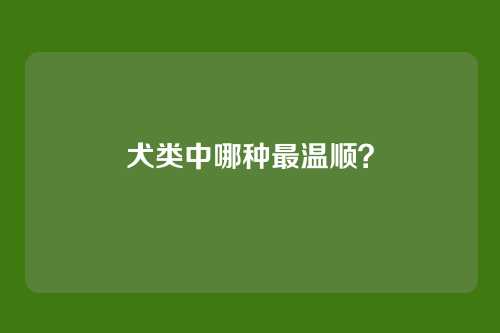 犬类中哪种最温顺？