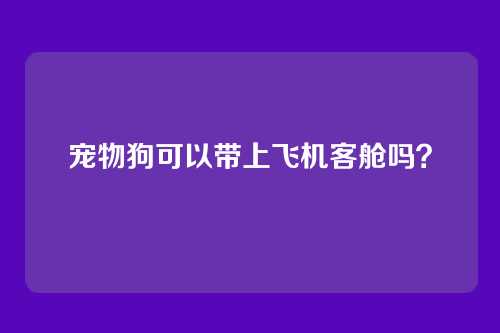 宠物狗可以带上飞机客舱吗?