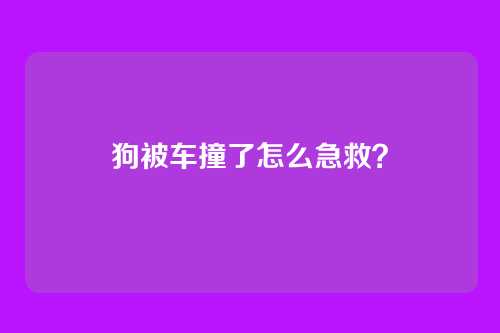 狗被车撞了怎么急救？