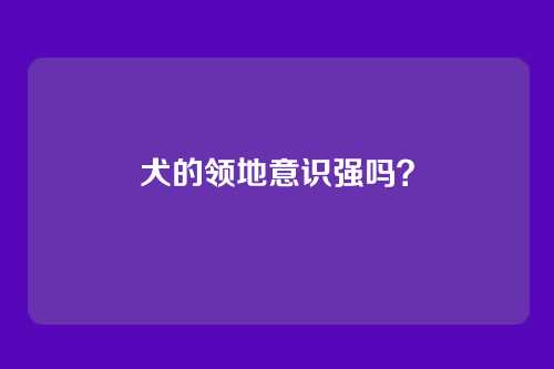 犬的领地意识强吗？