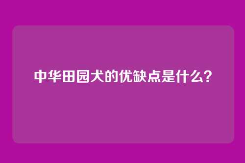 中华田园犬的优缺点是什么？