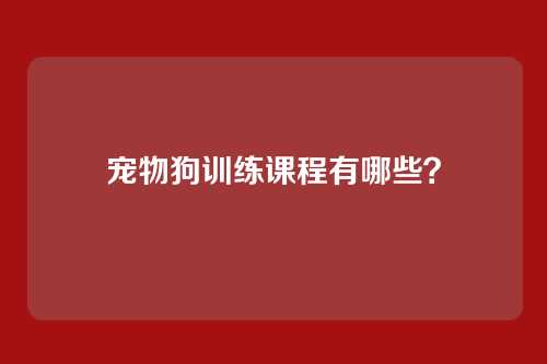 宠物狗训练课程有哪些？