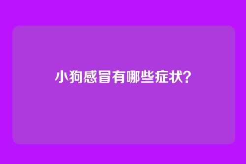 小狗感冒有哪些症状?