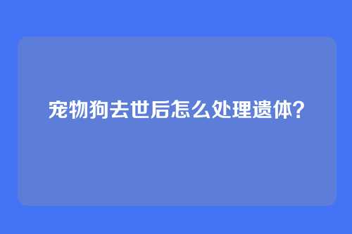 宠物狗去世后怎么处理遗体？