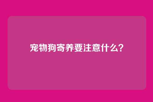 宠物狗寄养要注意什么?